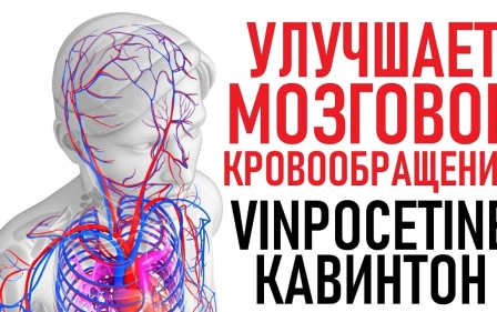 Винпоцетин | Интеллект на много лет | СОВЕТЫ ОСОБЕННОСТИ (Vinpocetine) Uses, Side Effects